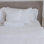 
                    
                      #color-blanco
                    
                  