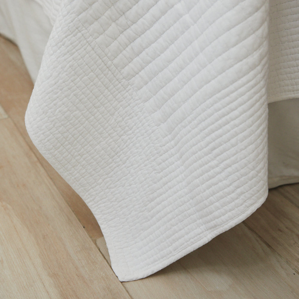 
                  
                    #color-Blanco
                  
                