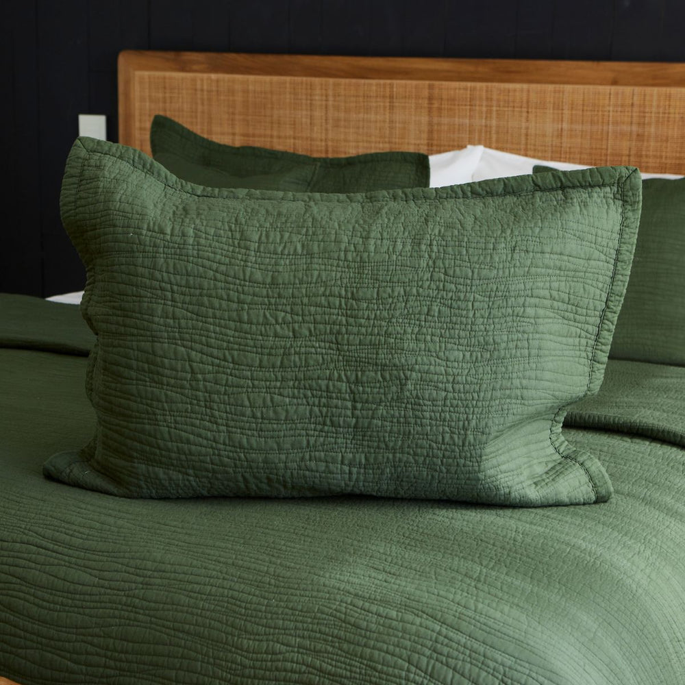 
                  
                    #color-verde
                  
                