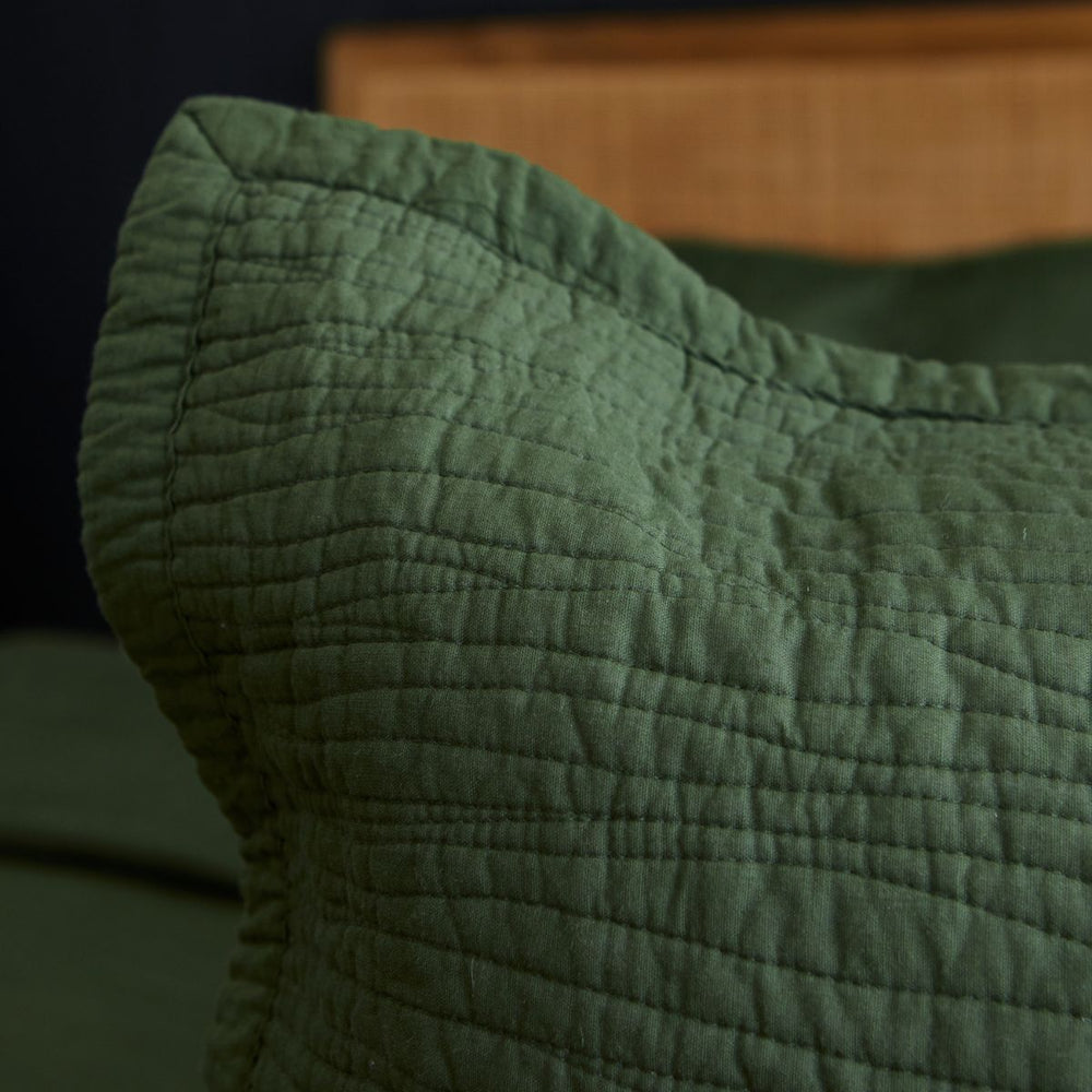 
                  
                    #color-verde
                  
                