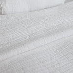 
                    
                      #color-blanco
                    
                  