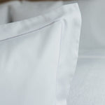 
                    
                      #color-blanco
                    
                  