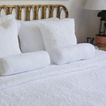 
                    
                      #color-blanco
                    
                  