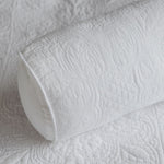 
                    
                      #color-blanco
                    
                  