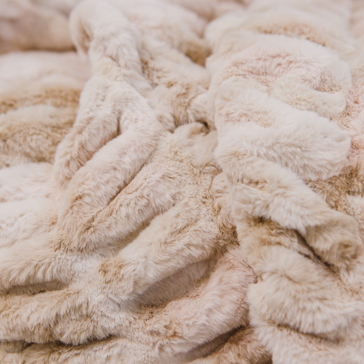 #color-beige
