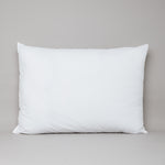 
                    
                      #color-blanco
                    
                  