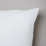 
                    
                      #color-blanco
                    
                  
