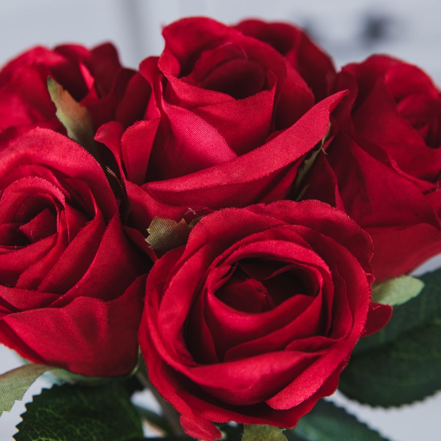 BEAUTY ROSE 