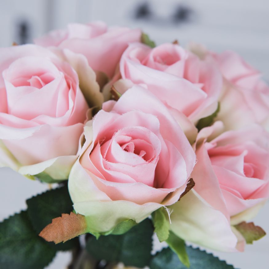 BEAUTY ROSE 